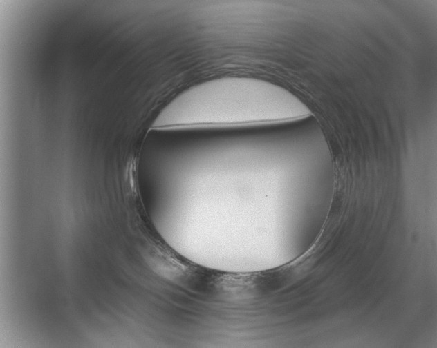 X0000074930094200609010930