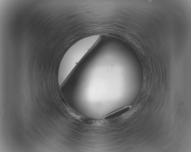 X0000074930096200609010930