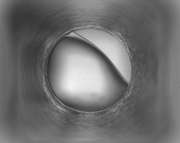 X0000074930097200609010929