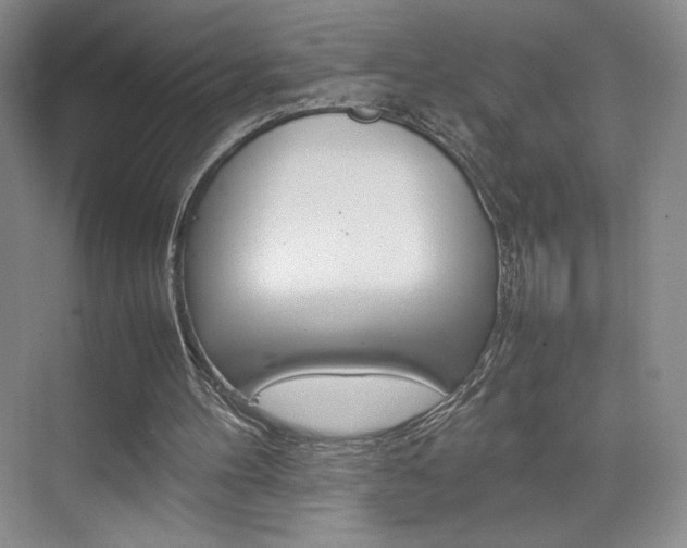 X0000074930100200609010929