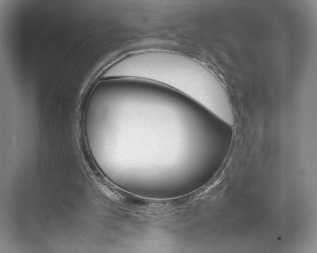 X0000074930101200609010929