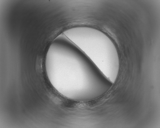 X0000074930115200609010929