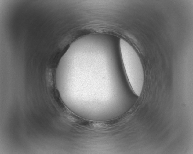 X0000074930121200609010929
