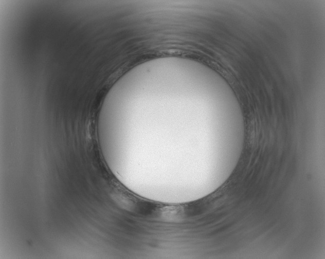 X0000074930126200609010929