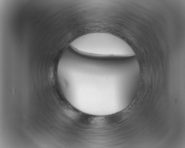 X0000074930132200609010929