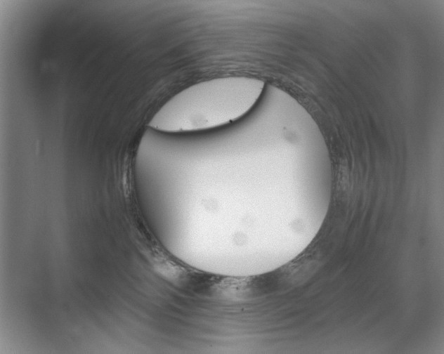X0000074930138200609010929