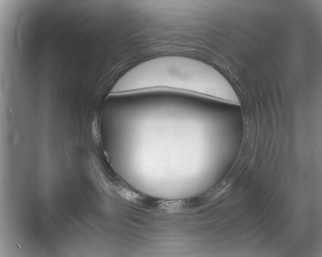 X0000074930143200609010929