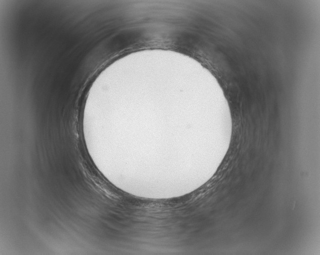 X0000074930146200609010928