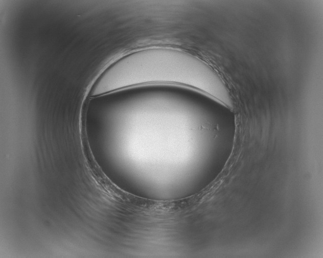 X0000074930148200609010928