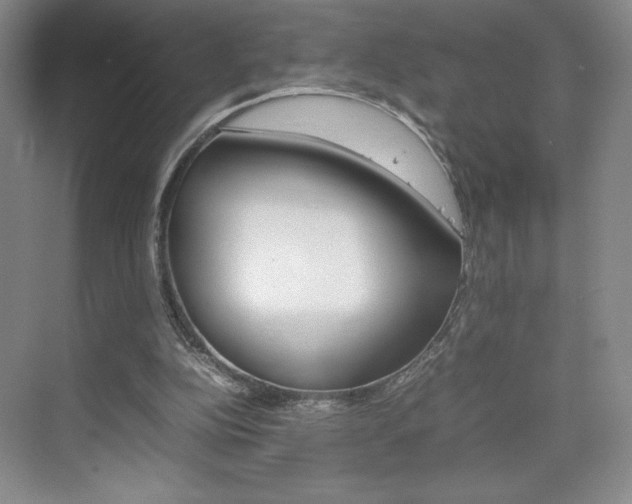 X0000074930152200609010928
