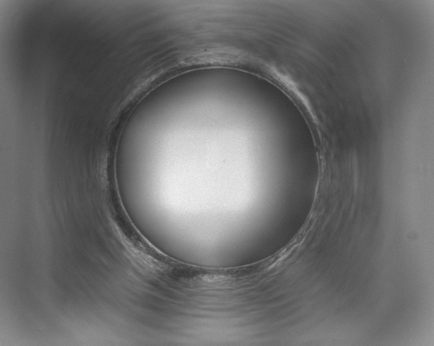 X0000074930154200609010928