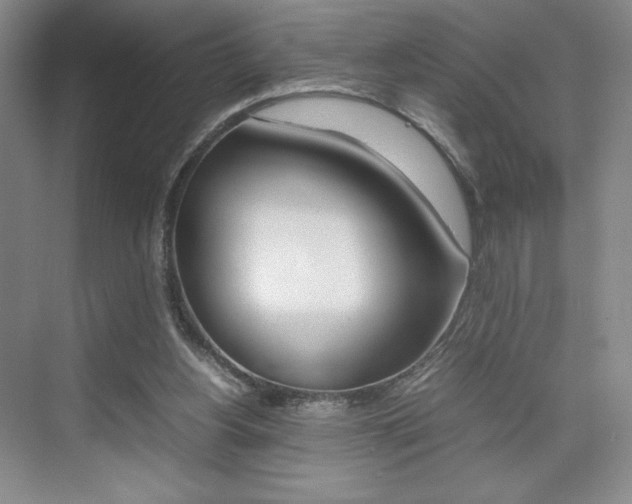X0000074930156200609010928