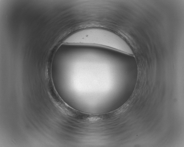 X0000074930158200609010928