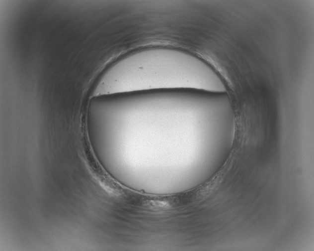 X0000074930159200609010928
