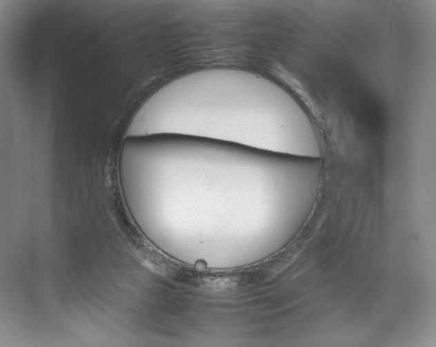 X0000074930161200609010928