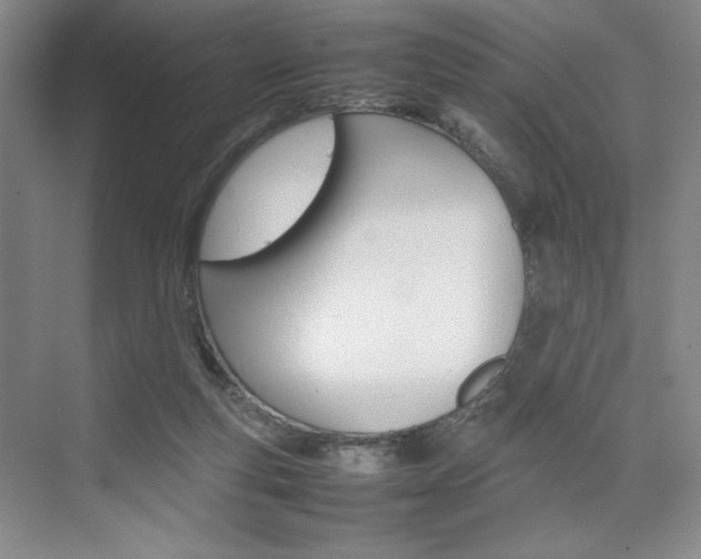 X0000074930163200609010928