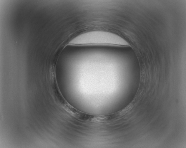 X0000074930172200609010928
