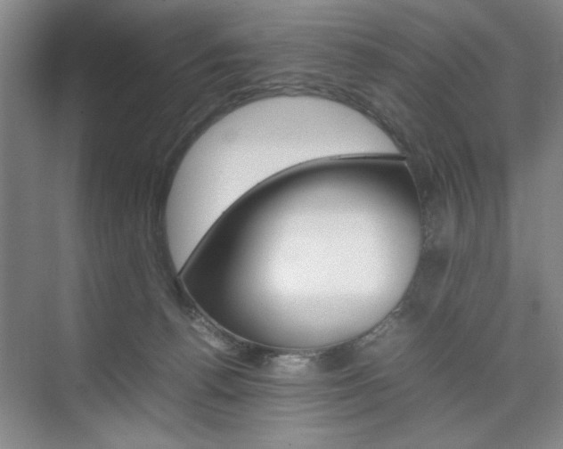 X0000074930176200609010928