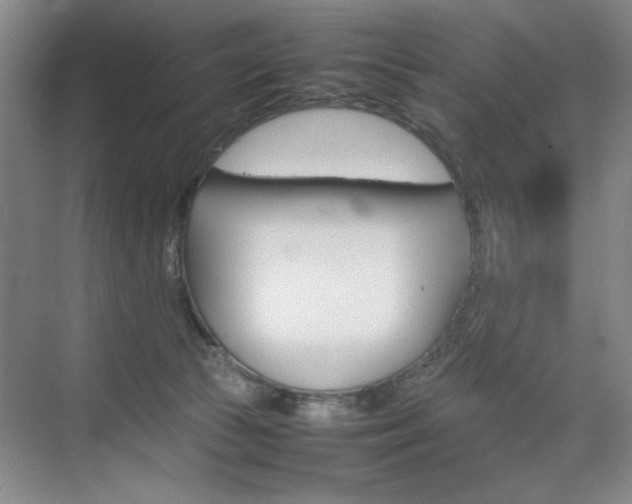 X0000074930177200609010928