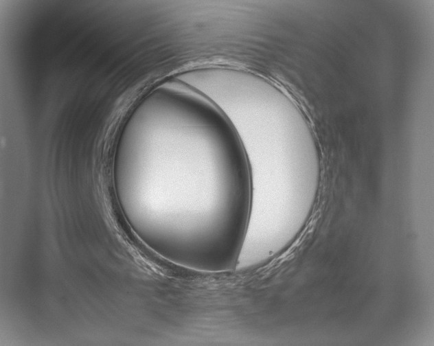 X0000074930193200609010928