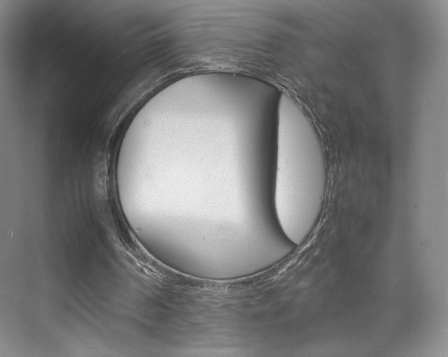 X0000074930194200609010928