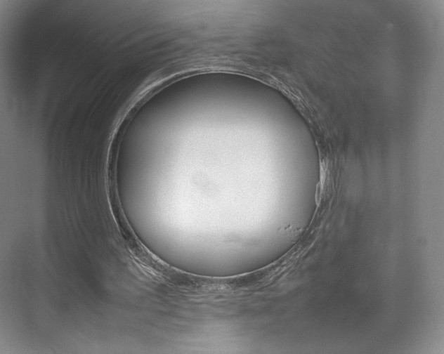 X0000074930195200609010928