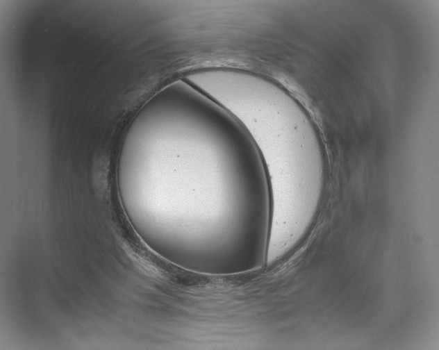 X0000074930201200609010928
