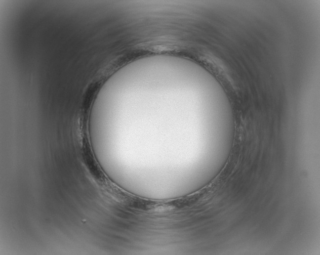 X0000074930210200609010928