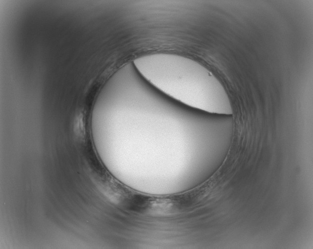 X0000074930214200609010927