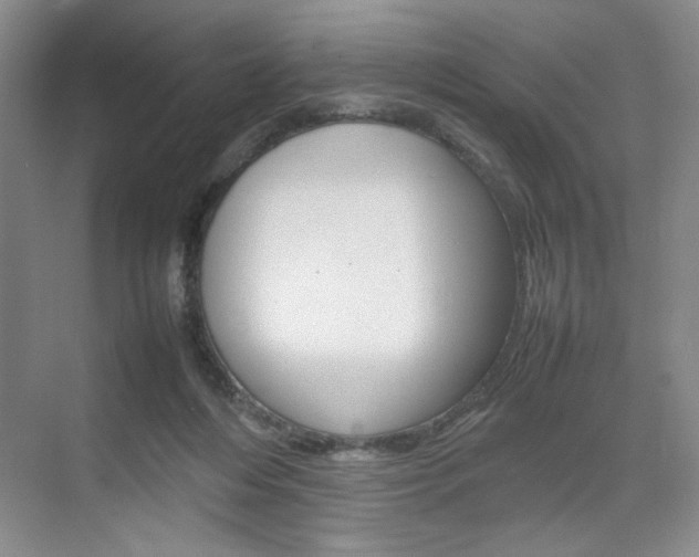 X0000074930216200609010927