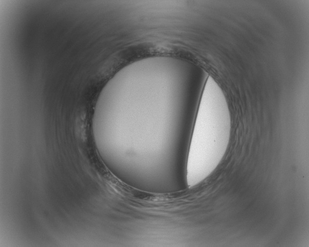 X0000074930223200609010927