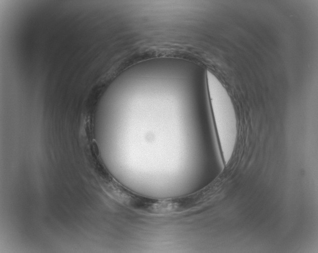 X0000074930225200609010927