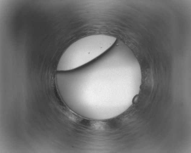 X0000074930226200609010927