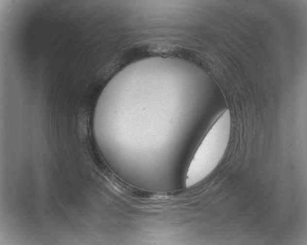 X0000074930227200609010927