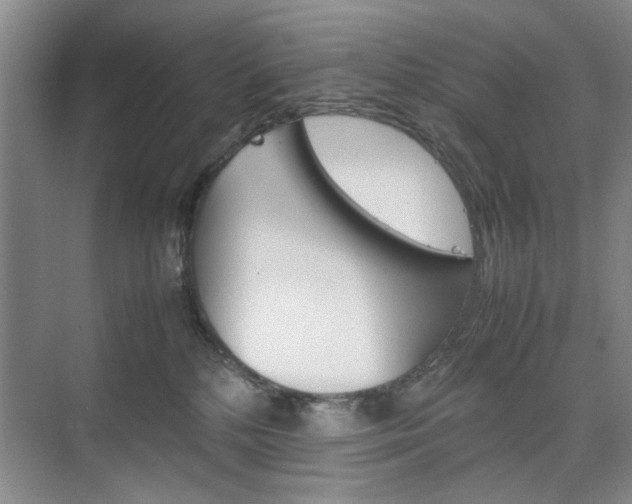 X0000074930232200609010927