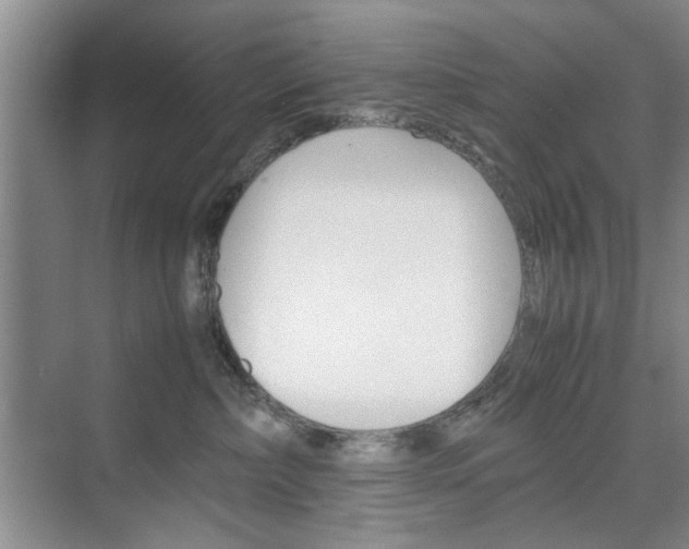X0000074930236200609010927
