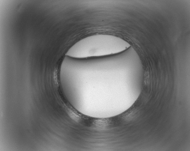 X0000074930238200609010927