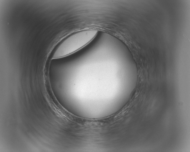 X0000074930242200609010926