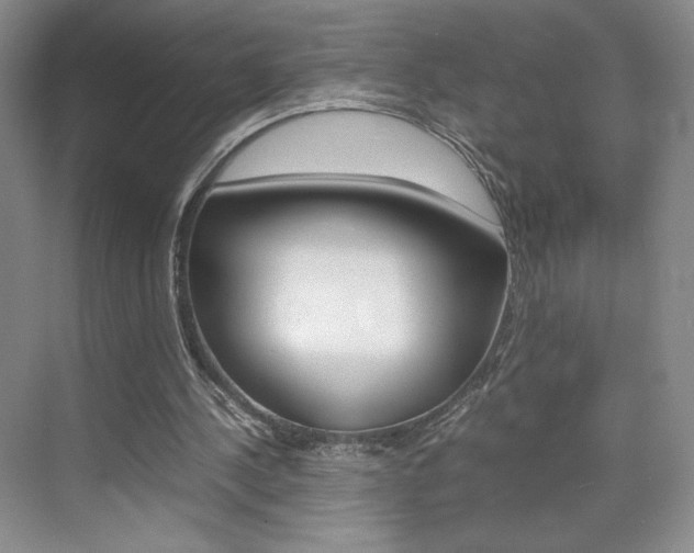 X0000074930244200609010926