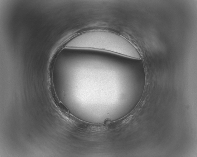 X0000074930245200609010926