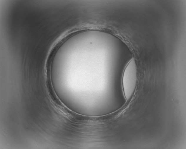 X0000074930246200609010926