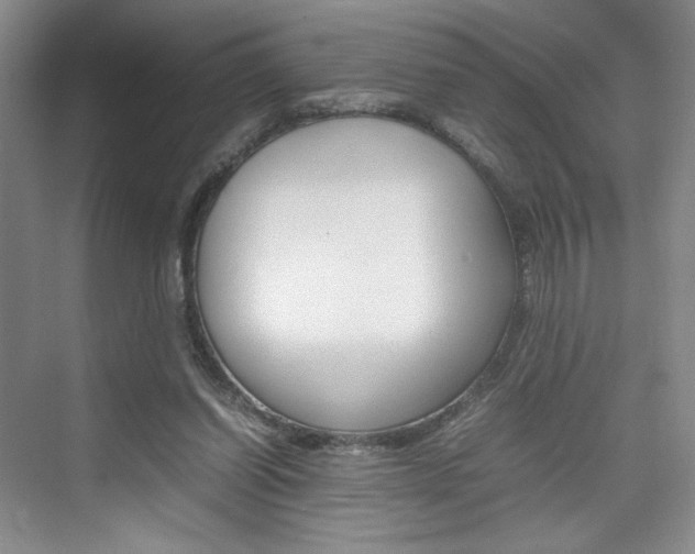 X0000074930254200609010926
