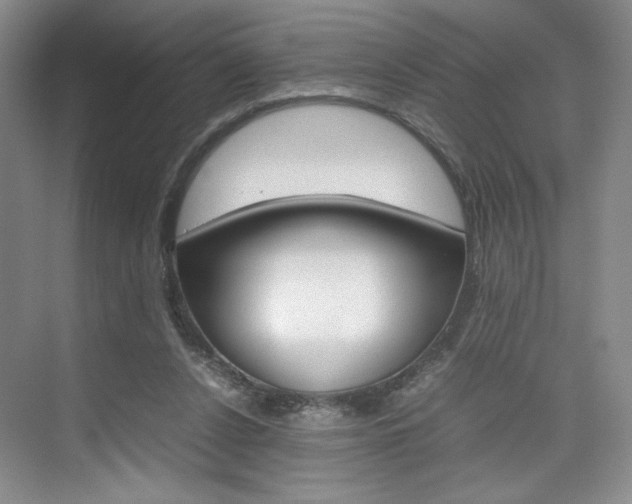 X0000074930256200609010926