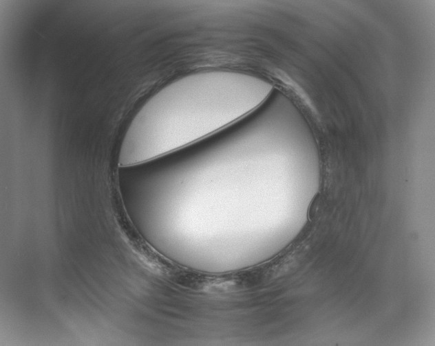 X0000074930257200609010926