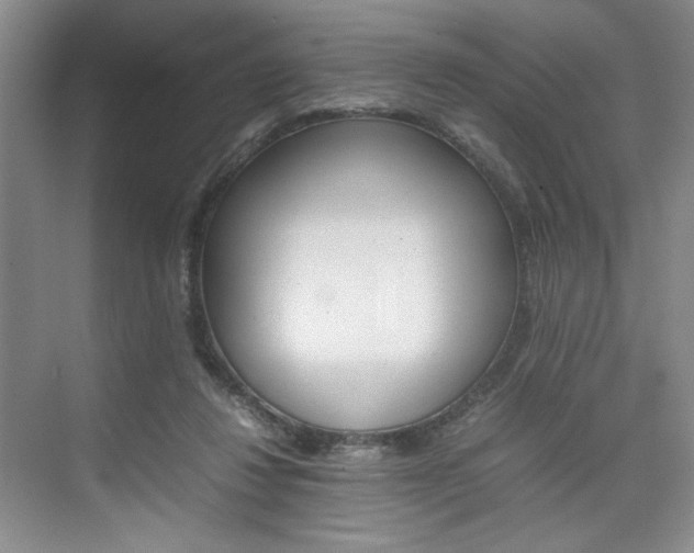 X0000074930260200609010927