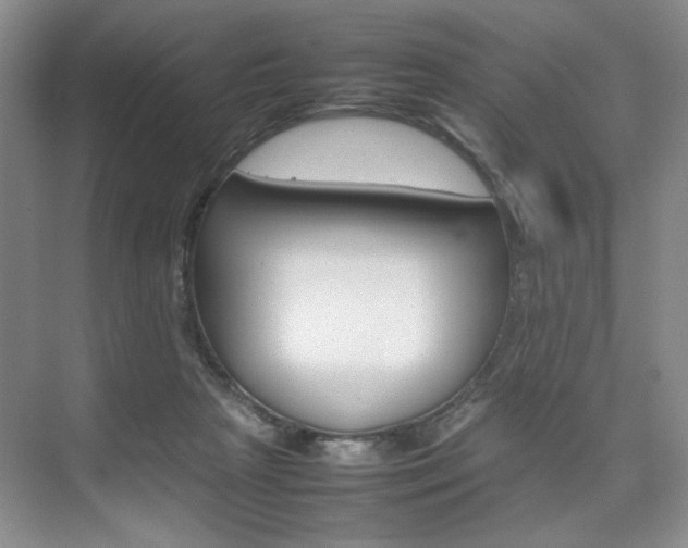 X0000074930265200609010927