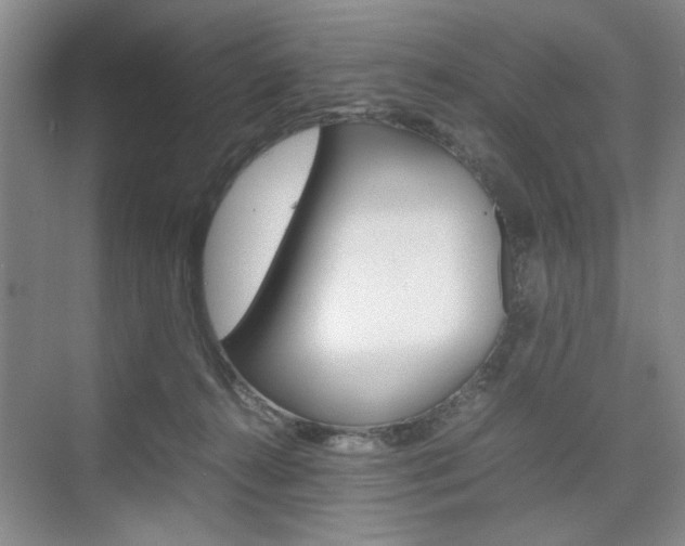 X0000074930272200609010927