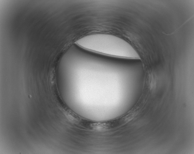 X0000074930273200609010927