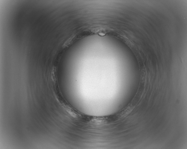 X0000074930280200609010927