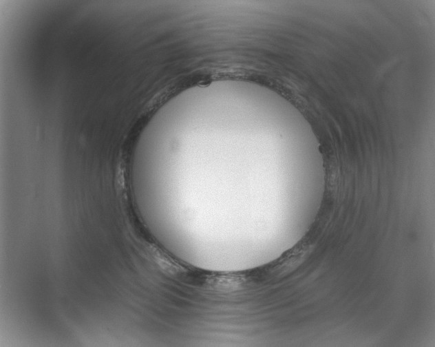 X0000074930282200609010927
